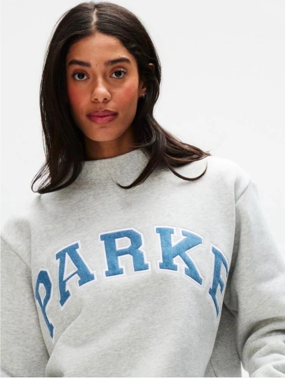 Parke Embroidered Grey and light denim Crewneck Sweatshirt